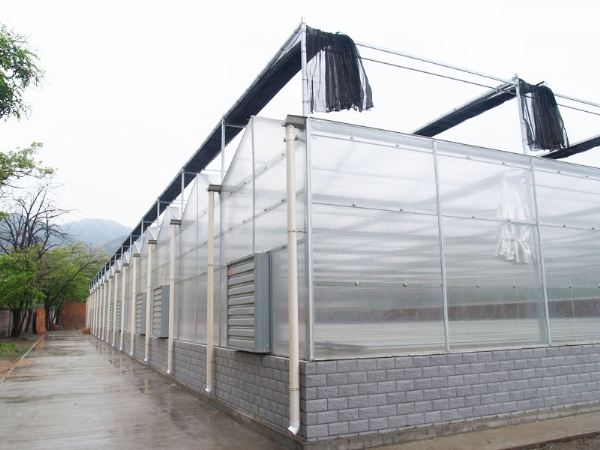 陽光板（pc板)溫室